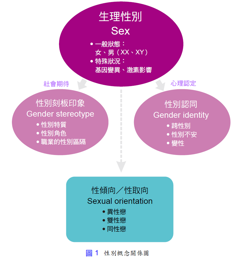性別概念關係圖