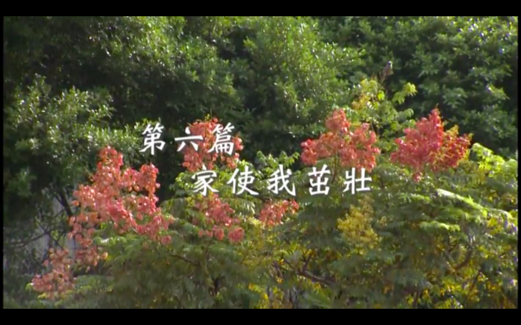 愛家日記：第六篇 家使我茁壯